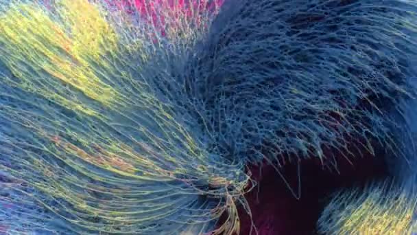 Soyut Çok Renkli Bitki Örtüsünün Sihirli Arka Planı Rüzgarda Sallanıyor — Stok video
