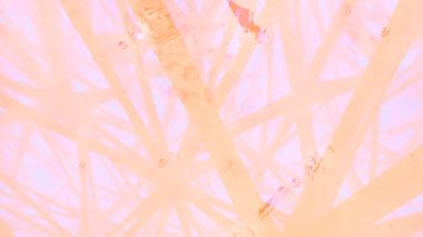 Pembe hacimli ışık, hareket eden geometrik bir yapıdan geçer. Yaratıcı modern tasarım. Sanat desenli dekorasyon elemanı arka planı. Dijital dikişsiz döngü animasyonu. 3D görüntüleme. HD çözünürlüğü