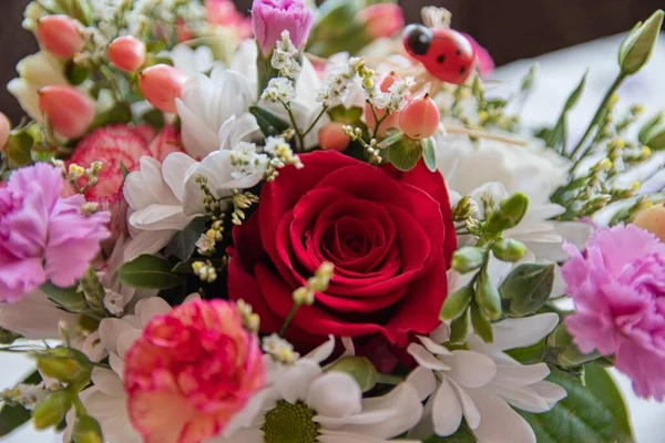 Kasede kırmızı gül