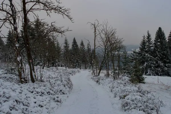 Winter Den Bergen — Stockfoto