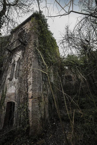 Gammalt Övergivet Hus Skogen — Stockfoto