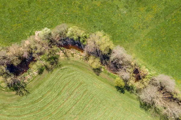 Image Aerial View Naturally Meandering Stream River Kleine Ohe Trees — Stock Photo, Image