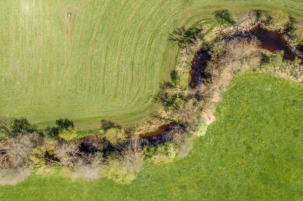 Image Aerial View Naturally Meandering Stream River Kleine Ohe Trees — Stock Photo, Image