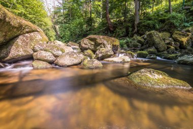 Almanya 'nın Bavyera Ormanı' ndaki Ringelai 'de Torrent Vadisi Buchberger Leite Doğa Koruma Alanı