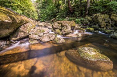 Almanya 'nın Bavyera Ormanı' ndaki Ringelai 'de Torrent Vadisi Buchberger Leite Doğa Koruma Alanı