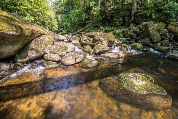 Torrent Ravin Buchberger Leite Naturreservat Ringelai Bayerska Skogen Tyskland — Stockfoto