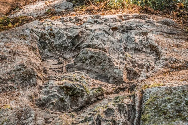 Human stone working from the prehistoric times of the German ancestors at the foot of the mountain Hoher Sachsen near Grafenau in the Bavarian Forest, Germany