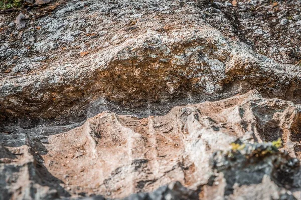 Kamień Ludzki Czasów Prehistorycznych Niemieckich Przodków Podnóża Góry Hoher Sachsen — Zdjęcie stockowe