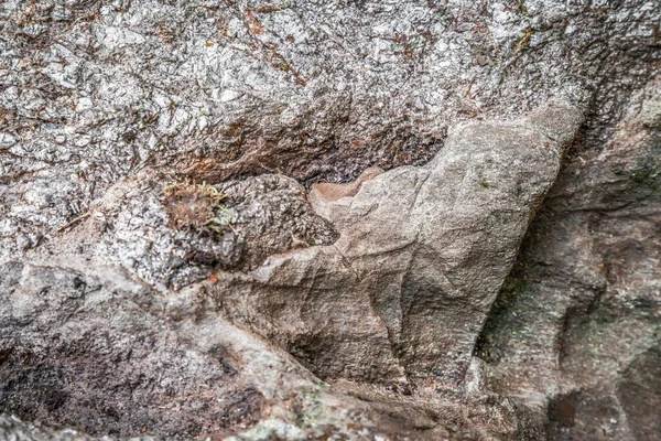 Human stone working from the prehistoric times of the German ancestors at the foot of the mountain Hoher Sachsen near Grafenau in the Bavarian Forest, Germany