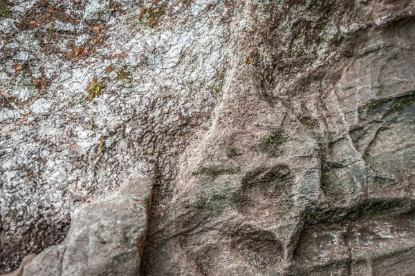 Human stone working from the prehistoric times of the German ancestors at the foot of the mountain Hoher Sachsen near Grafenau in the Bavarian Forest, Germany