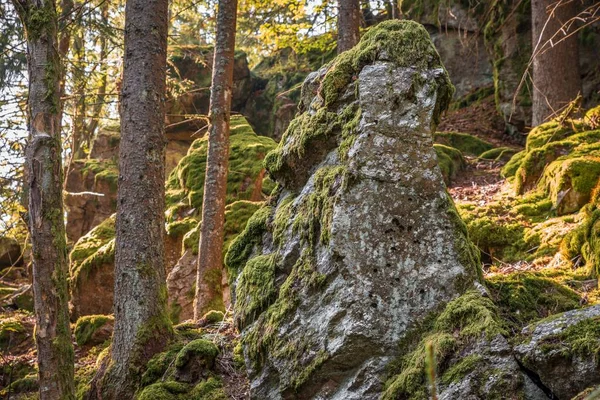 Великий Вивітрений Гранітний Камінь Формі Голови Людини Вухами Рот Ніс — стокове фото