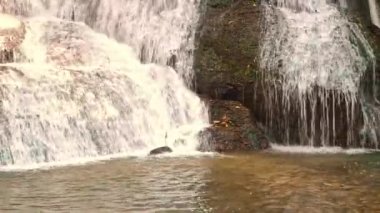 Jungingen ve Schlatt 'teki Starzel şelalesinin çevresel yürüyüş yolu Kirchenkoepfle Turu, Baden-Wuerttemberg Almanya