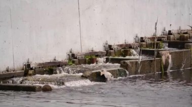 Jungingen ve Schlatt 'teki Starzel şelalesinin çevresel yürüyüş yolu Kirchenkoepfle Turu, Baden-Wuerttemberg Almanya