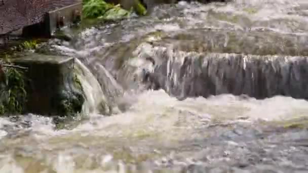 Footage Water Games Water Staircase Fish Spa Lake Grafenau Bavarian — Stock videók