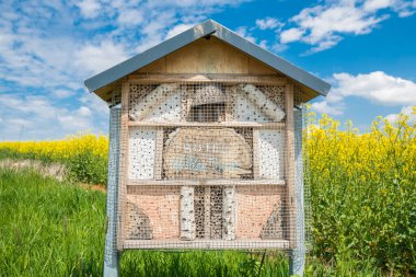 Alman yazıtlı sarı çiçekli bir tecavüz tarlasının yanındaki çayırdaki arı kovanı ve böcek oteli.