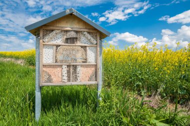 Alman yazıtlı sarı çiçekli bir tecavüz tarlasının yanındaki çayırdaki arı kovanı ve böcek oteli.