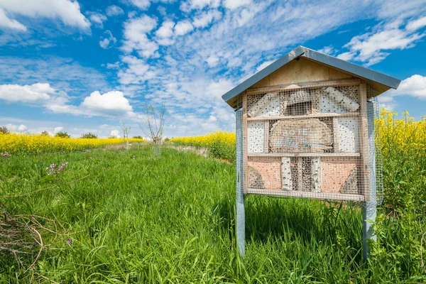 Alman yazıtlı sarı çiçekli bir tecavüz tarlasının yanındaki çayırdaki arı kovanı ve böcek oteli.
