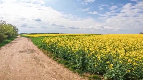 Nagranie Pola Gwałtu Niedaleko Regensburga Niemcy Słoneczny Wiosenny Dzień Błękitnym — Wideo stockowe