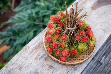 Bambu tepsisinde büyük bir grup kırmızı rambutan ahşap bir masaya yerleştirilir. Rambutan yemek için lezzetli görünüyor, Tayland 'daki ağaçtan taze meyve. Metin için boşluk bırak