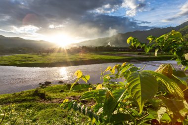 Genç yapraklar ve manzara, nehir kıvrılır, dağlar, gün batımı sıcaklık hissi verir. Doğal arka plan tasarımı için yeşil çayır hayvancılık alanı Tayland Hayvan Çiftliği