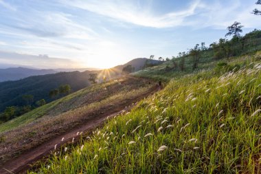 Gün batımında parlak yeşil tepelerdeki arazi manzarası geniş dağları görmek, rahat hissetmek, gökyüzü renk değiştirmeye başlıyor. güzel beyaz çimenler