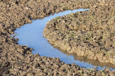 Tarlalardaki seçici odak toprağı traktörle ekme izleri tarlalarda toprağı yumuşatmak için su var. Toprakla karışmış. tarım arazisi resimleri verimli toprak