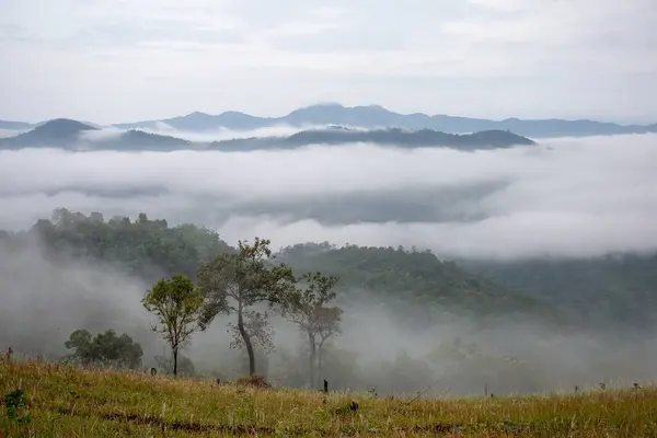 晨雾密布的山脉非常美丽 给人一种清凉清爽的感觉山地部落培育区背景图片和文字空间 — 图库照片