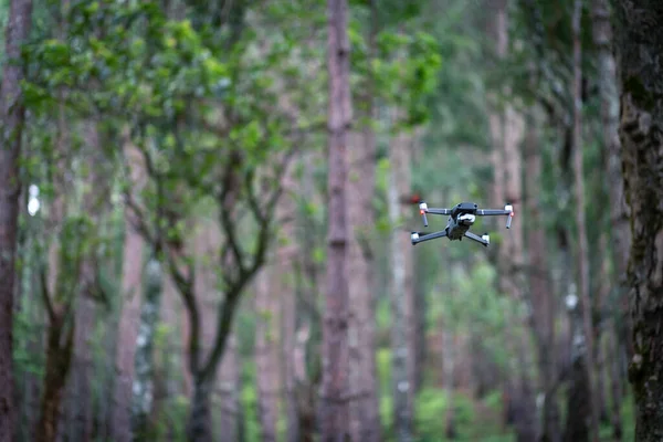 Foco Seletivo Drone Voando Floresta Densas Árvores Espaço Para Texto — Fotografia de Stock