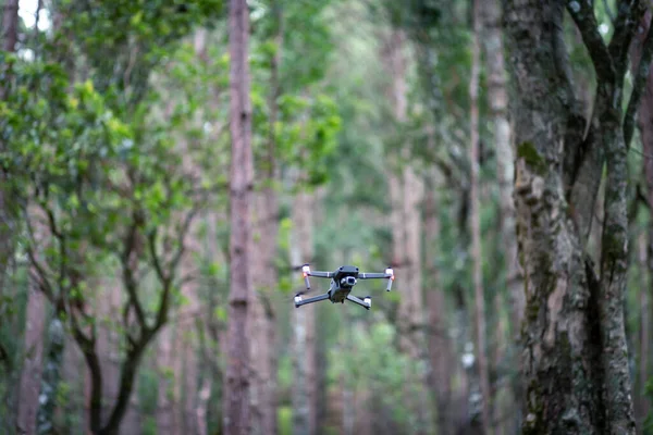 森の高密度の木々の中を飛ぶ選択的フォーカスドローンテキストのためのスペースがあります 野生のアイデアは小さなドローンに最適です — ストック写真