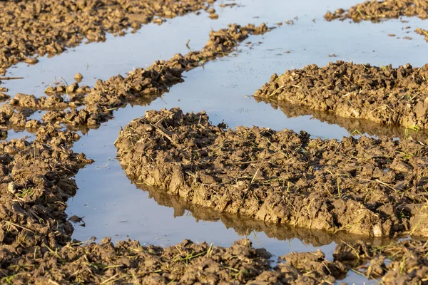 Enfoque Selectivo Del Suelo Los Campos Rastros Cultivo Del Suelo — Foto de Stock