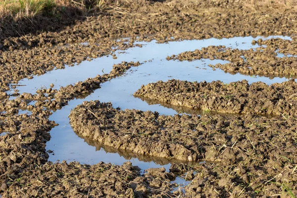 Selective Focus Soil Fields Traces Cultivating Soil Tractor Water Fields — Stock Photo, Image