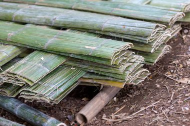 Tayland 'da kırsal ve tepe köylülerine ait doğal evler inşa etmek için kullanılacak bambu işlemleri için seçici bir odak noktası. Düşük maliyetli bambu güzel bir doğal yuva oluşturuyor. doğal iyileşme kavramı
