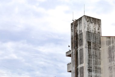 Terk edilmiş bir binada siyah su lekeleri var. Terk edilmiş binanın tepesinde uçan bir güvercin var. Mesaj için sol tarafta boş bir alan var. bulut gökyüzü 