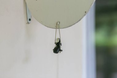 İp salıncağında oturan küçük bir hayalet bebeğin modeli. metin için alanı olan depolama önü dekorasyonu