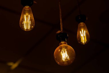 Seçici odaklı turuncu lamba eski tarz ampuller yüksek ısı üretir, enerji tasarrufu değil, klasik bir bağ hissi verir..