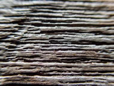 Metin eklemek için seçici odak dokusu eski ahşap tablo, güzel desen, kahverengi arkaplan resmi.