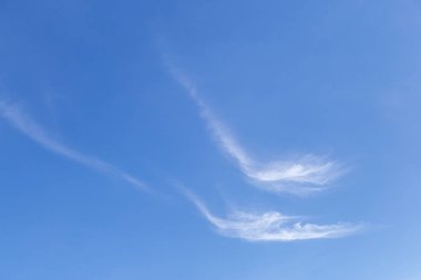arkaplan tasarımı ve metin eklenmesi için güzel, parlak, beyaz bulut şekilleri. Parlak ve rahat bir his veriyor.