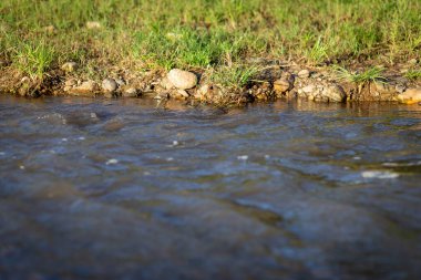 Suyun kenarında küçük taşlar, küçük yeşil çimenler ve aşağıdaki metin için alan var. Suda, doğa ferahlatıcı bir his verir su yüzeyinden düşük açı görüntüsü
