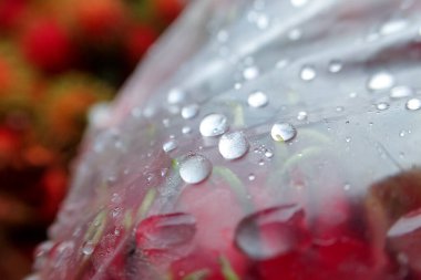 Naylon poşetlerdeki seçici odak su damlacıkları. Rambutan yağmur mevsiminde paketlenmiş. Su kırmızı meyve arkaplanı düşürür....