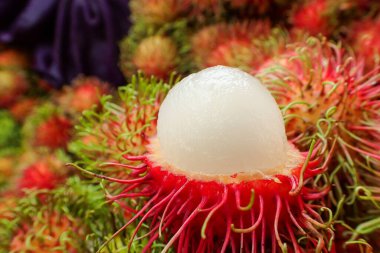 Rambutan geniş kovanına odaklan. Sert ve iştah açıcı olan beyaz eti göster. Taze meyve pazarında yağmur mevsiminde Tayland bahçesinden kırmızı kabuklu meyveler.