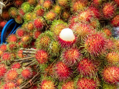 SChoose odak Rambutan büyük kovan. Sert ve iştah açıcı olan beyaz eti göster. Taze meyve pazarında yağmur mevsiminde Tayland bahçesinden kırmızı kabuklu meyveler.