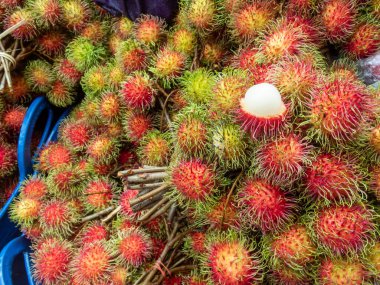 Rambutan geniş kovanına odaklan. Sert ve iştah açıcı olan beyaz eti göster. Taze meyve pazarında yağmur mevsiminde Tayland bahçesinden kırmızı kabuklu meyveler.