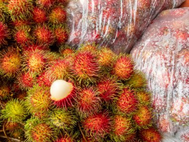 Rambutan geniş kovanına odaklan. Sert ve iştah açıcı olan beyaz eti göster. Taze meyve pazarında yağmur mevsiminde Tayland bahçesinden kırmızı kabuklu meyveler.