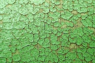 Seçici odak, eski yeşil deri koltuk yüzeyi. Kuru ve çatlak, içindeki kumaşı görebilirsiniz..