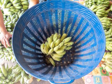 Mavi sepetteki yeşil muz tartıda duruyordu. Pazarda bir sürü muz var. Tayland 'da muz çiftçilerinin sattığı taze meyveleri satıyorlar..