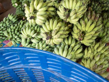 Tayland 'da muz çiftçileri tarafından satılan taze meyve pazarında yere yığılmış bir sürü yeşil muz var..