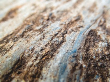 Seçici odak noktası kayalar. Güzel desen, güçlü görünüyor. Gri taştan arka plan, doğadaki toprak kayasının sebep olduğu kahverengi desenli.