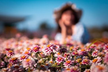 seçici odak zinnia beyaz, pembe, sarı, güzel zinnia Zinnia çifte Zahara ahududu dalgası için yer var.