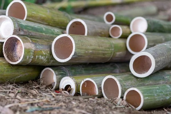 Enfoque Selectivo Bambú Procesado Forma Tubular Madera Natural Versátil Cortar — Foto de Stock