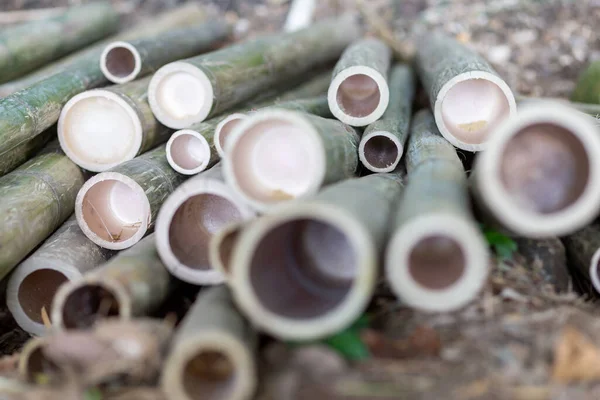Enfoque Selectivo Bambú Procesado Forma Tubular Madera Natural Versátil Cortar — Foto de Stock